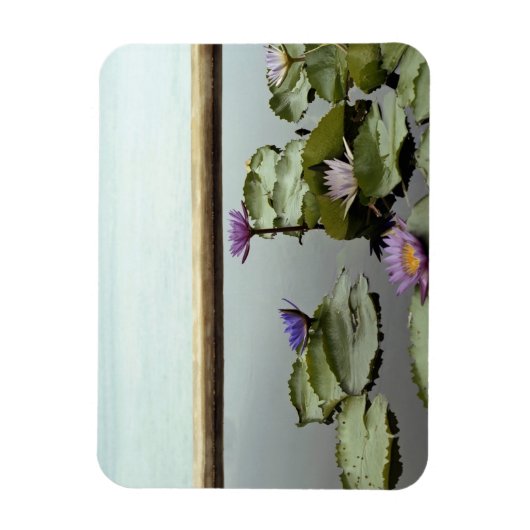 Water ligt in een vijver op zee magneet (Verticaal)