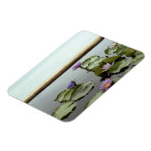 Water ligt in een vijver op zee magneet (Linkerzijde)