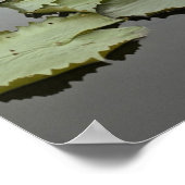 Water ligt in een vijver op zee poster (Hoek)