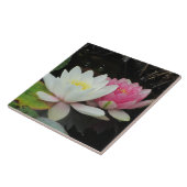 WATER LIGT VAN SHARON SHARPE TEGELTJE (Zijkant)