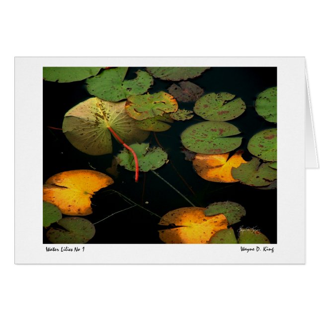 Water Lilie nr. 1 (Voorkant Horizontaal)