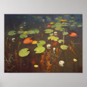 Water Lilies 1895 Poster (Voorkant)