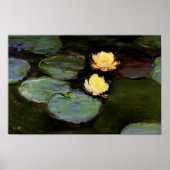 Water-Lilies: 1897-1998, Monet Poster (Voorkant)