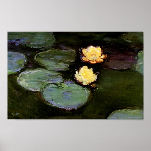 Water-Lilies: 1897-1998, Monet Poster (Voorkant)