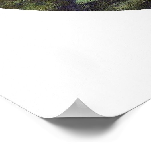 Water-Lilies, 1908 Poster (Hoek)