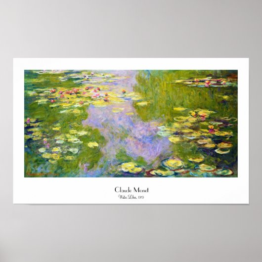 Water Lilies, 1919 Claude Monet Poster (Voorkant)