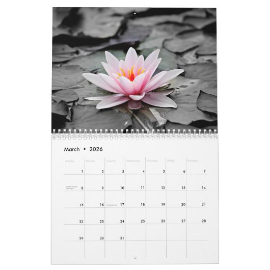 Water Lilies 2017 Kalender (Mar 2026)