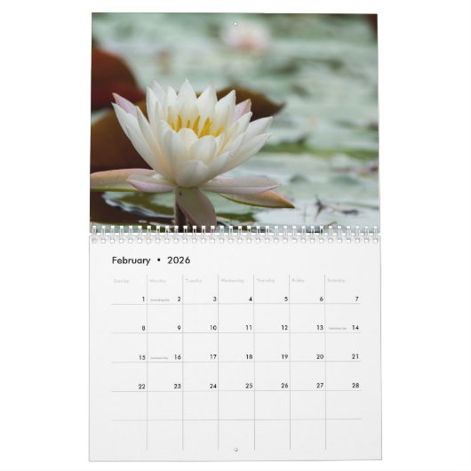Water Lilies 2018 Kalender (Feb 2026)