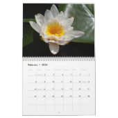 Water Lilies Calendar 2026 Kalender (Feb 2026)