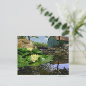 Water Lilies in Pond Briefkaart (Staand voorkant)