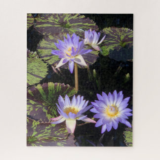 Water Lilies Legpuzzel