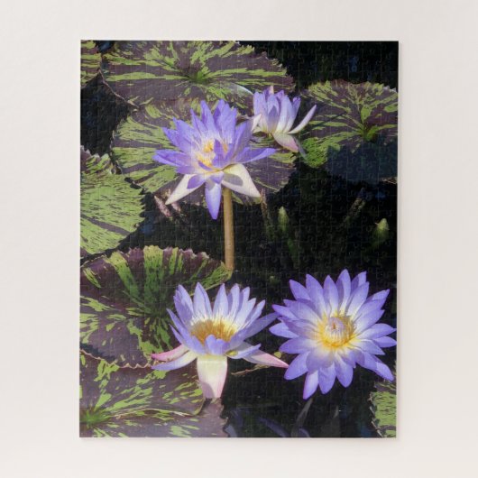 Water Lilies Legpuzzel (Verticaal)