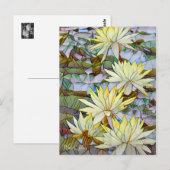 Water Lilies [Postcard] Briefkaart (Voorkant / Achterkant)