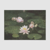Water Lilies (roze) van Abbott Thayer Tissuepapier (Voorkant)