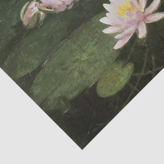 Water Lilies (roze) van Abbott Thayer Tissuepapier (Detail)