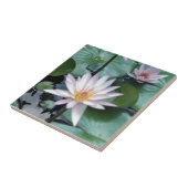 Water Lilies Tile Tegeltje (Zijkant)