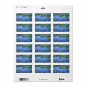 Water Lilies van Claude Monet Etiket (Full Sheet)