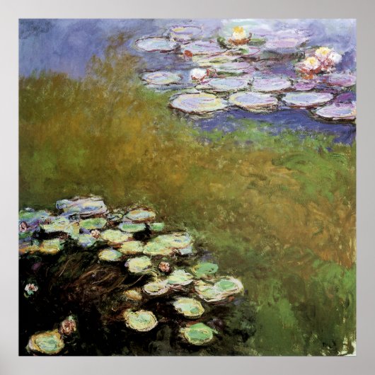 Water-Lillies, 1914-17 Poster (Voorkant)