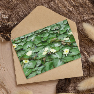 Water Lillies Briefkaart