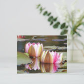 Water Lillies Briefkaart (Staand voorkant)