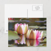 Water Lillies Briefkaart (Voorkant / Achterkant)