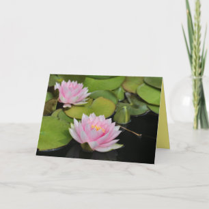 Water Lillies Kaart