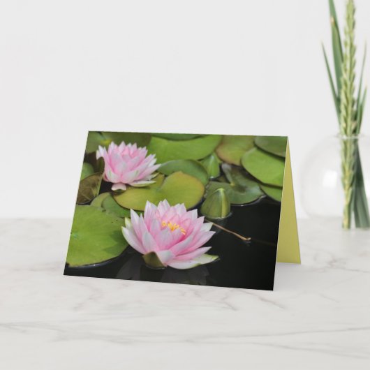 Water Lillies Kaart (Voorkant)