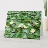 Water Lillies Kaart (Voorkant)