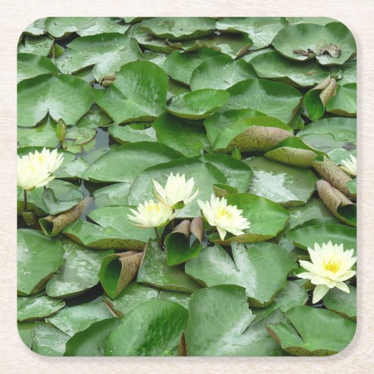 Water Lillies Kartonnen Onderzetters (Voorkant)