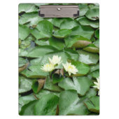 Water Lillies Klembord (Voorkant)