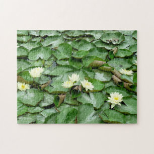 Water Lillies Legpuzzel
