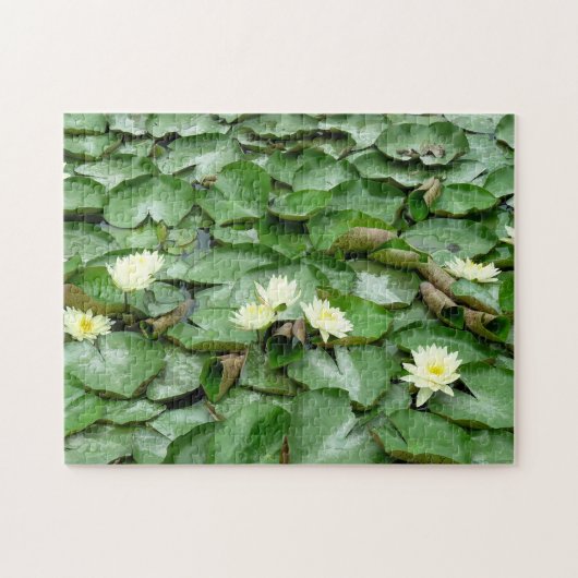 Water Lillies Legpuzzel (Horizontaal)