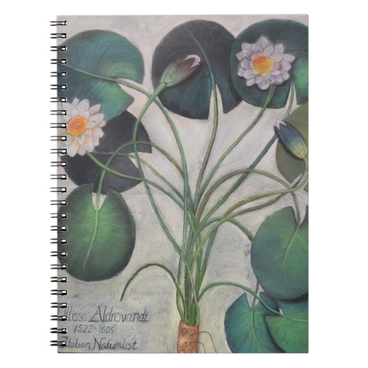 Water Lillies Notebook Notitieboek (Voorkant)