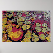 Water Lillies Poster (Voorkant)