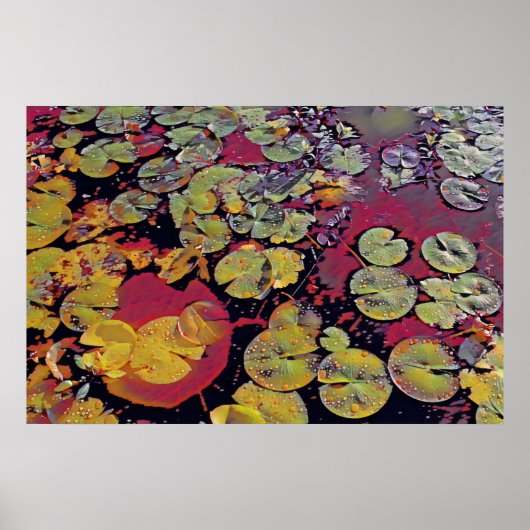Water Lillies Poster (Voorkant)