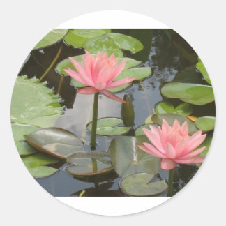 Water Lillies Ronde Sticker