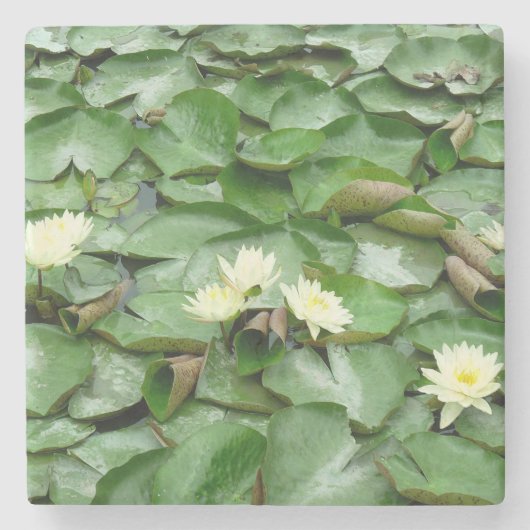 Water Lillies Stenen Onderzetter (Voorkant)