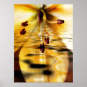 Water Lillium Print (Voorkant)