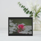 Water Lilly Briefkaart (Staand voorkant)