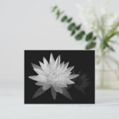Water Lilly Briefkaart (Staand voorkant)