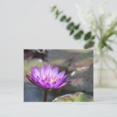 Water Lilly Briefkaart (Staand voorkant)