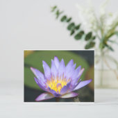 Water Lilly Briefkaart (Staand voorkant)