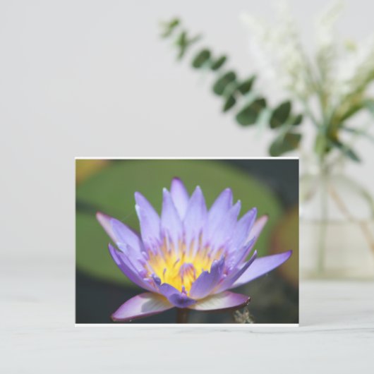 Water Lilly Briefkaart (Staand voorkant)