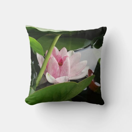 Water Lilly Kussen, ontwaken Kussen (Voorkant)