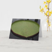 Water Lilly Leaf Note Card Kaart (Gele Bloem)