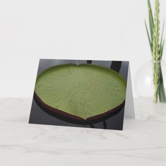 Water Lilly Leaf Note Card Kaart (Voorkant)