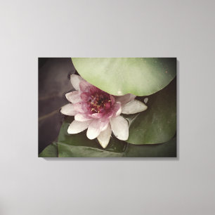 Water Lilly, Lotus Fotografie Muurkunst Canvas Afdruk