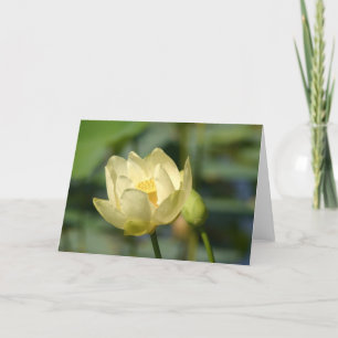 Water Lilly Lotus Kaart