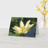 Water Lilly Lotus Kaart (Gele Bloem)
