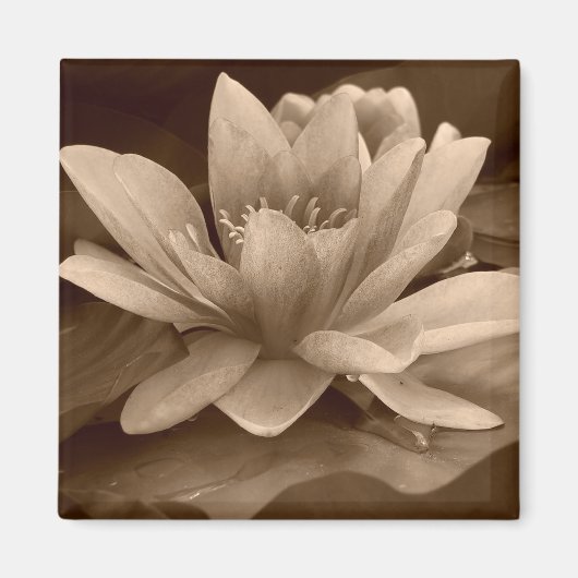 Water Lilly Magnet (Voorkant)